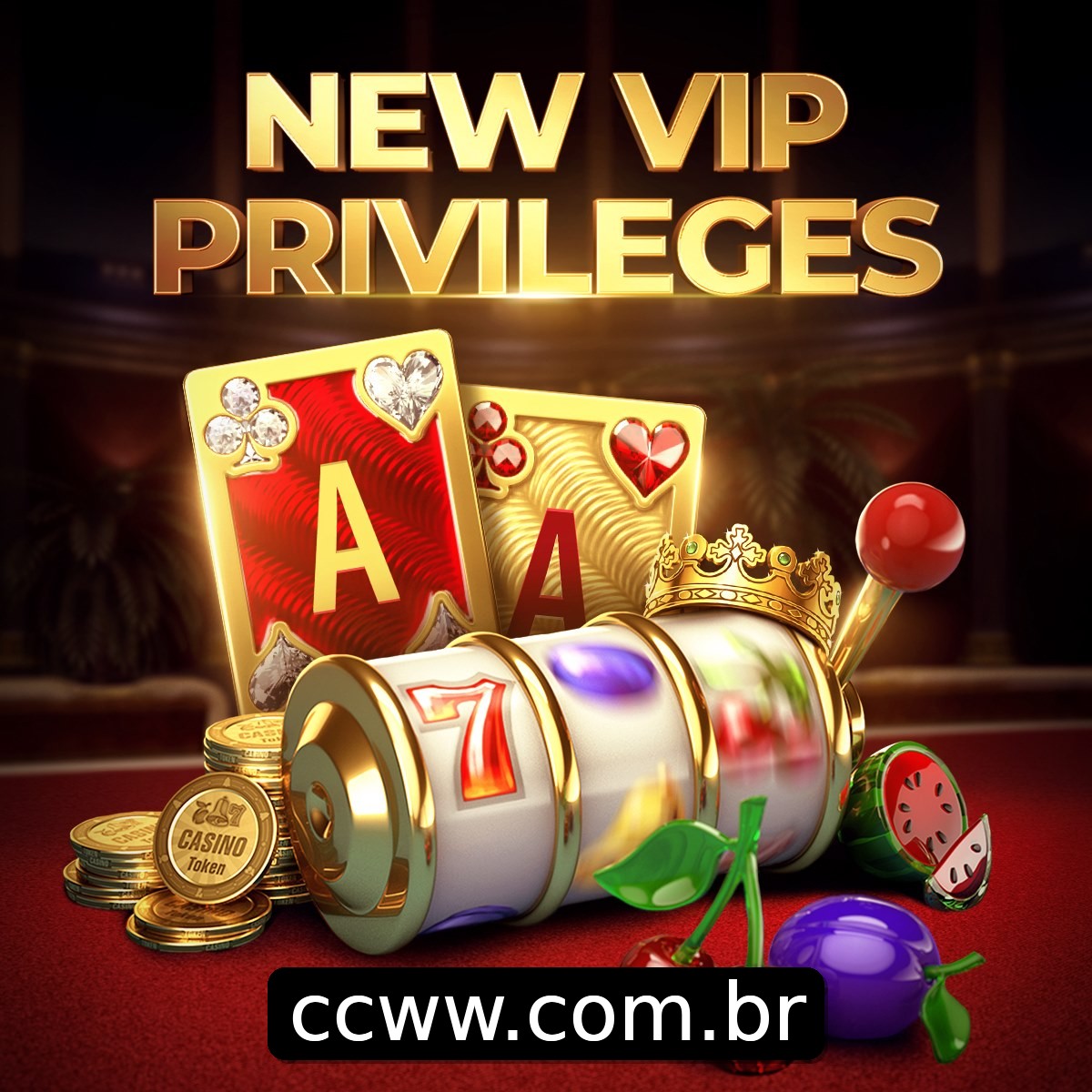 Programa VIP ccww